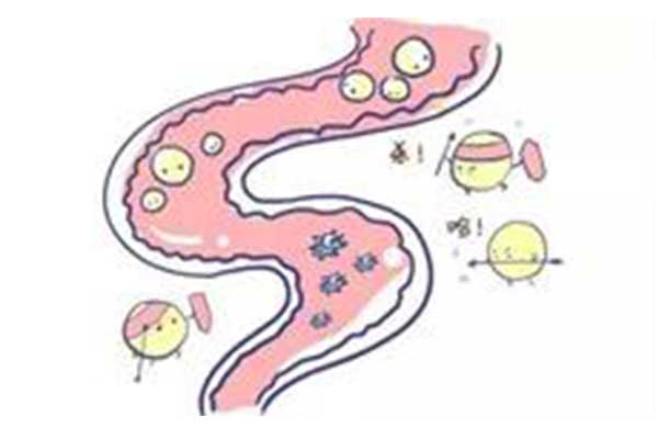 维生素D和钙对肠道生理的调控作用
