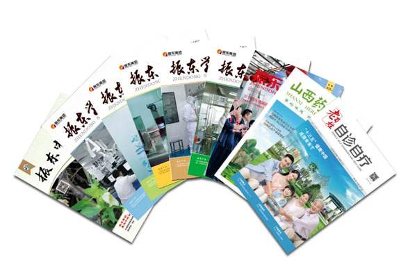 振东集团自主编辑出版的各类期刊