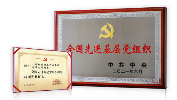 振东集团党委荣获“全国先进基层党组织”
