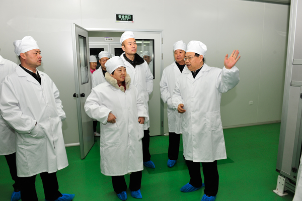 中央统战部 振东集团