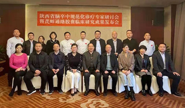 脑卒中规范化诊疗 专家研讨会 脑卒中专家研讨会