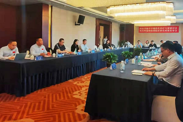 脑卒中规范化诊疗 专家研讨会 脑卒中专家研讨会