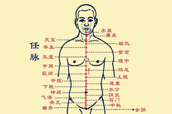 任督二脉解剖图图片