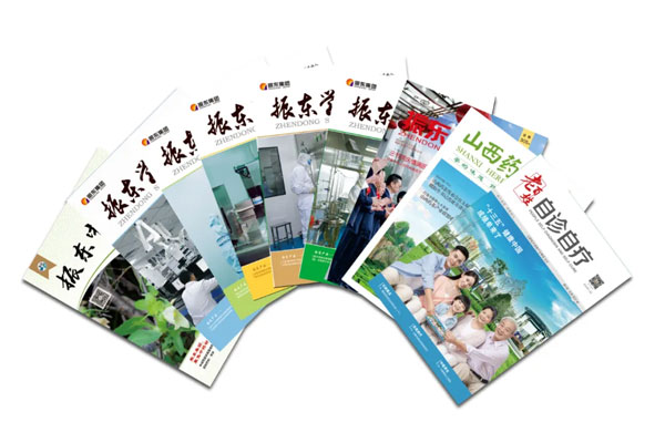 振东集团自主编辑出版的各类期刊