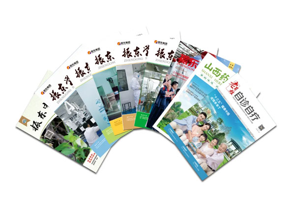 振东集团自主编辑出版的各类期刊