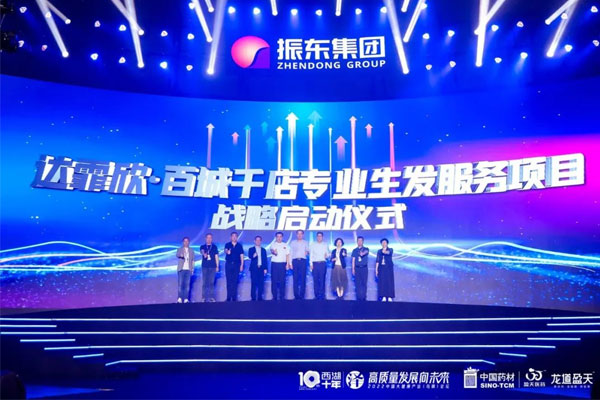 振东集团 达霏欣