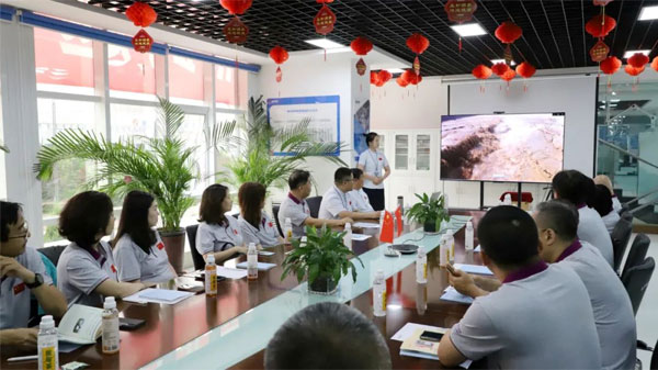 中国非处方药物协会,非处方药物,振东集团