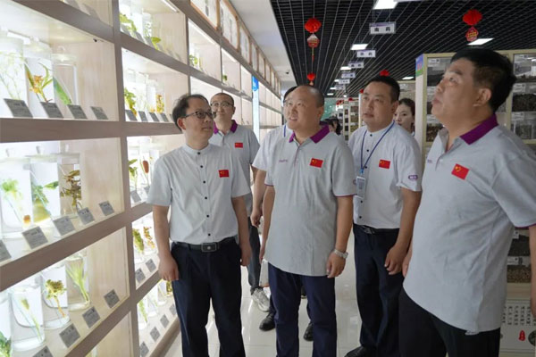 参观振东集团中药标本展览馆