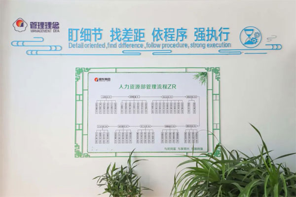 振东集团管理流程
