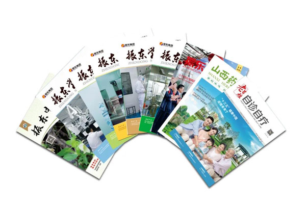 振东集团自主编辑出版的各类期刊