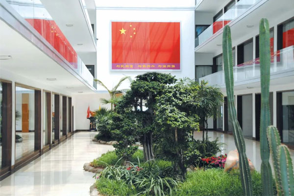 振东集团总部悬挂一面巨幅国旗