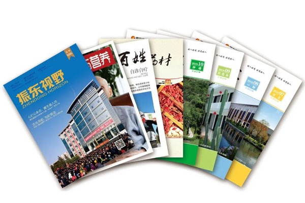 振东集团杂志期刊