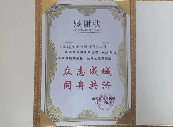 振东制药