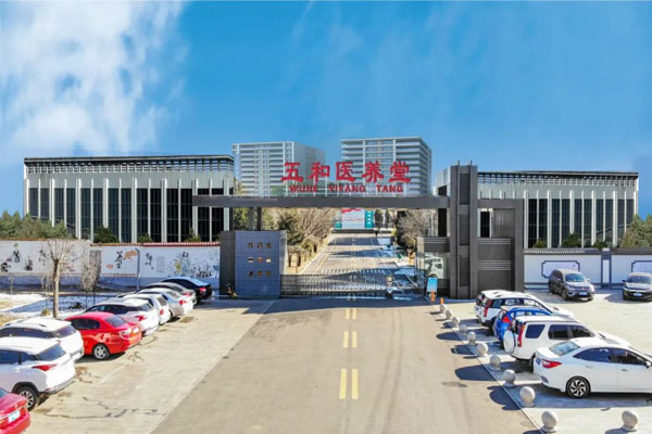 振东五和医养堂
