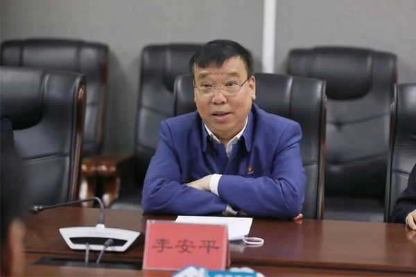 振东集团董事长李安平