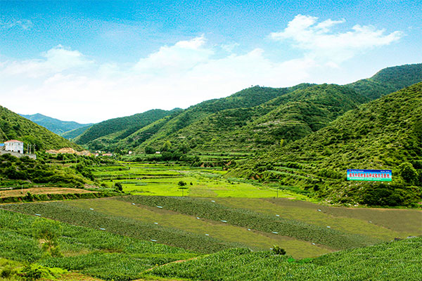 抗肿瘤原料药中试基地