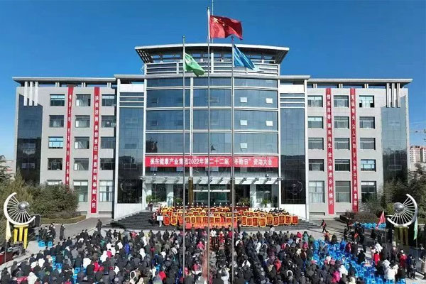 振东,振东集团