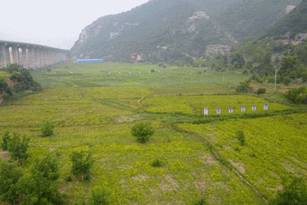 振东,振东道地药材