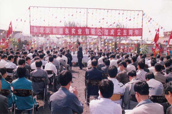 振东集团,振东