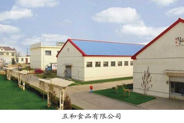 振东集团,振东,五和医养堂