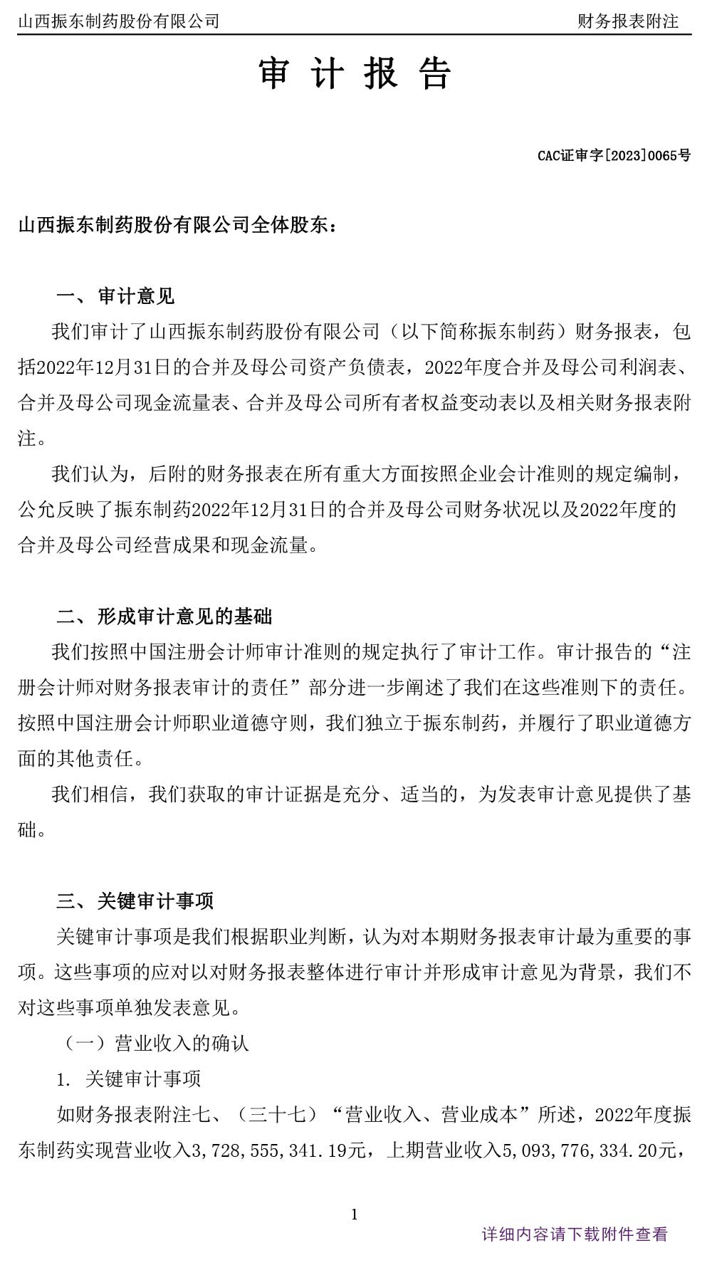 振东制药,振东,300158,年度审计报告