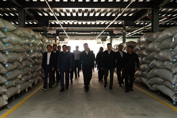 参观振东中药材仓储基地