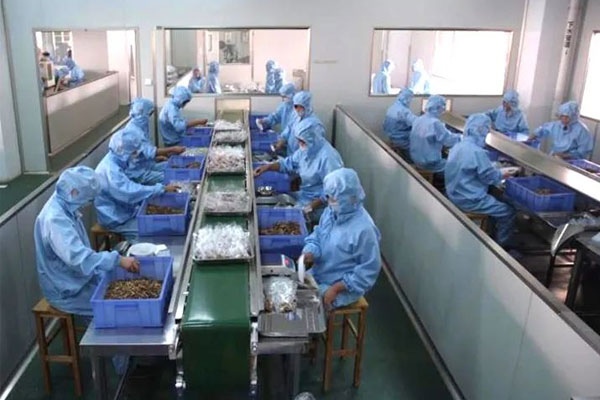 振东中药饮片车间