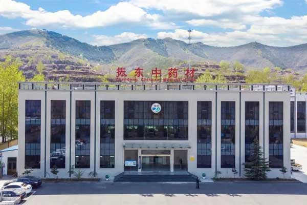 振东中药材公司