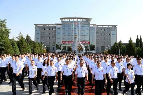 振东,振东集团,振东制药