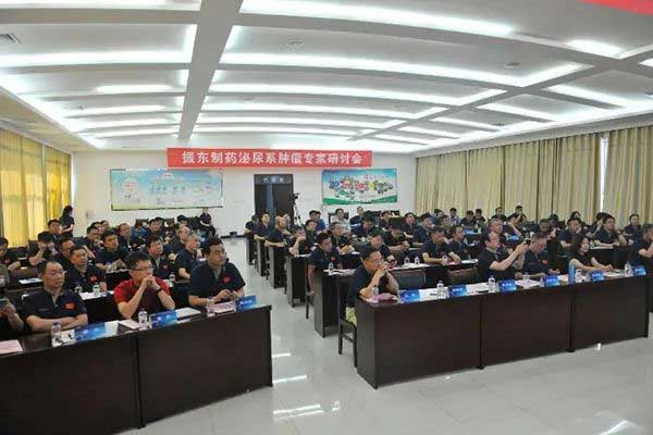 振东集团泌尿系肿瘤专家研讨会