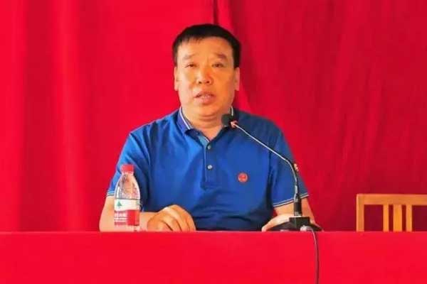 振东集团,振东,李安平