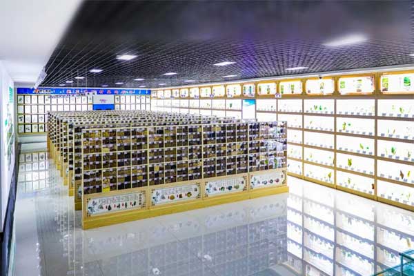 振东科技中心中药标本馆