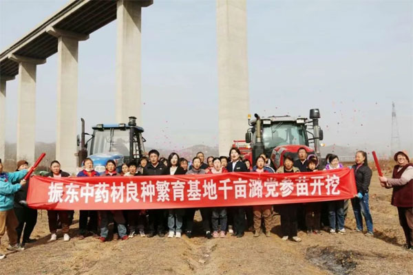 振东,振东中药材,中药材