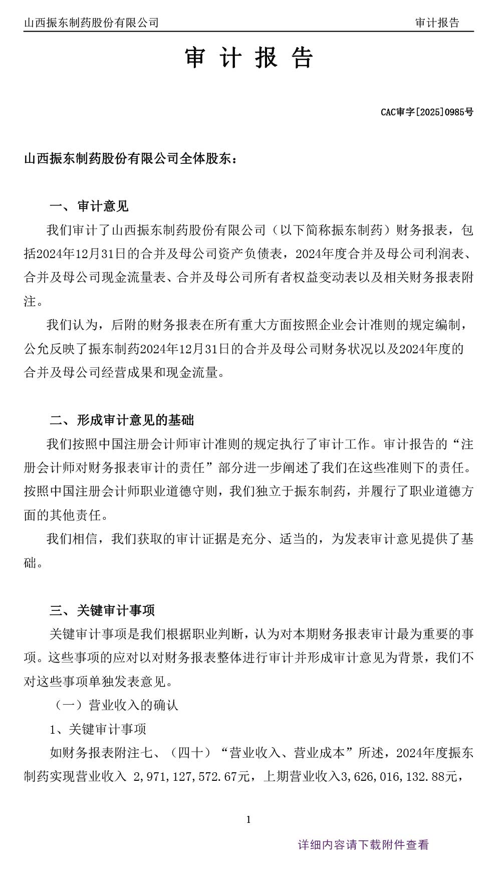振东制药,振东,300158,年度审计报告