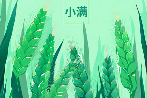 小满,小满养生